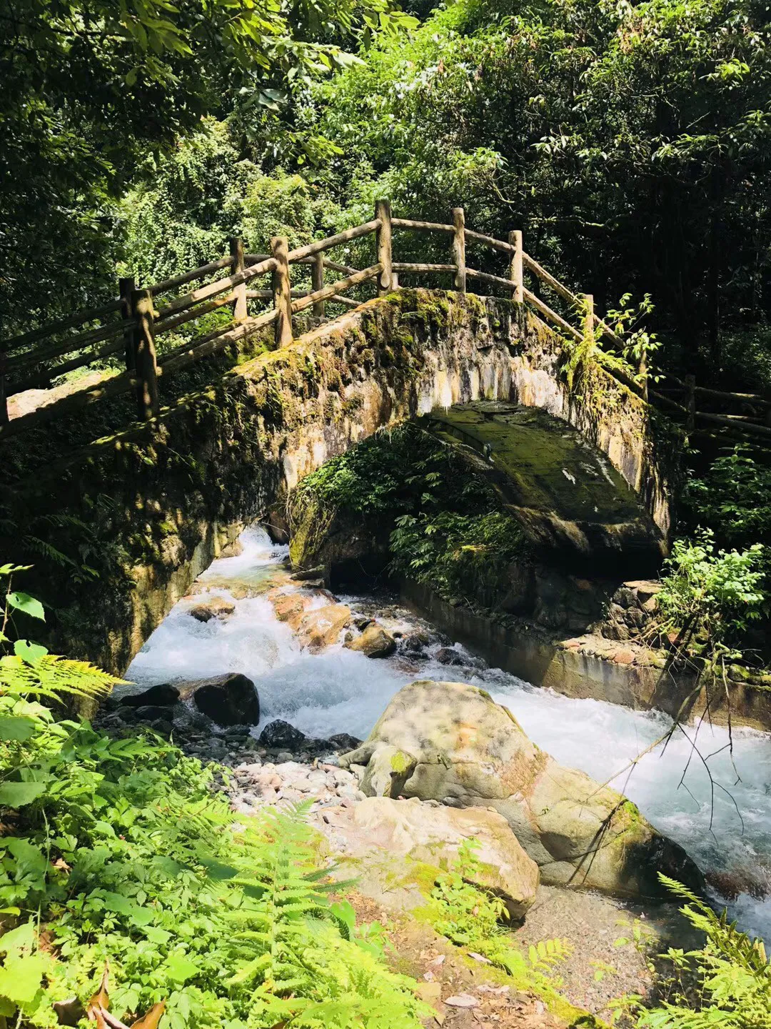 组装机械警暴龙